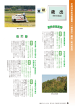議会だより　平成26年10月22日発行